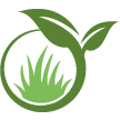 San Mateo Lawn Clean Up