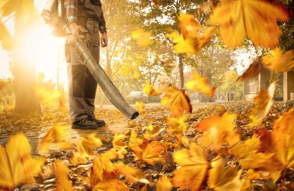 Cost of Leaf Blowing Service in San Mateo