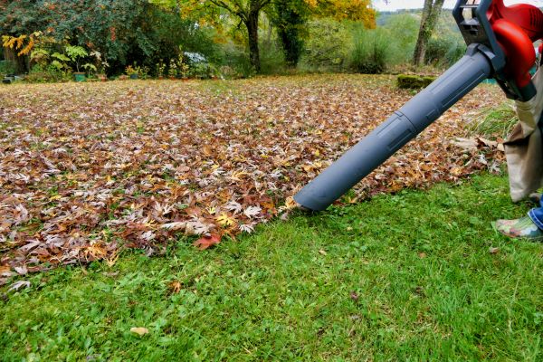 Cost of Leaf Vacuuming Service in San Mateo