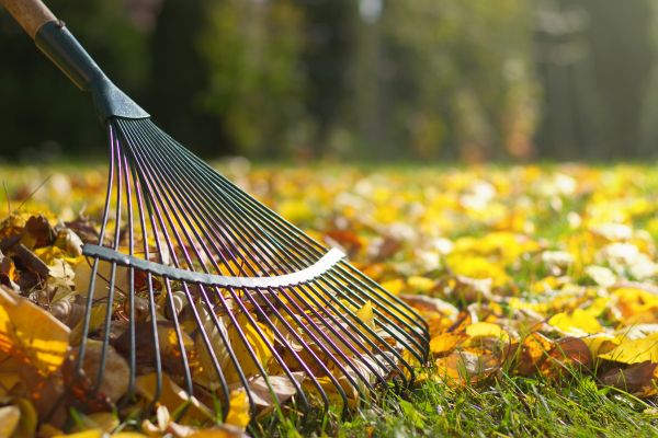 Cost of Lawn Raking Service in San Mateo