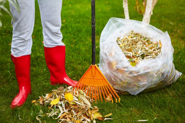 Cost of Leaf Disposal Service in San Mateo