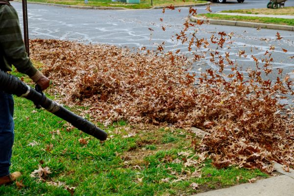 Cost of Garden Leaf Removal in San Mateo