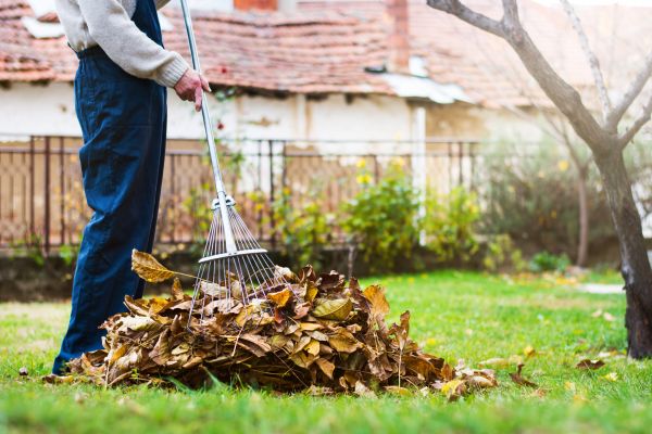Cost of Fall Yard Cleanup Service in San Mateo