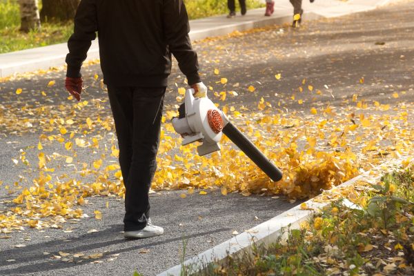 Cost of Commercial Leaf Removal in San Mateo