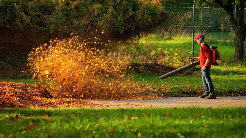 Using Leaf Blowers and Rakes